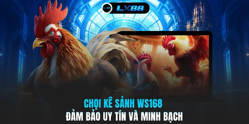 Chọi kê sảnh WS168 đảm bảo uy tín và minh bạch