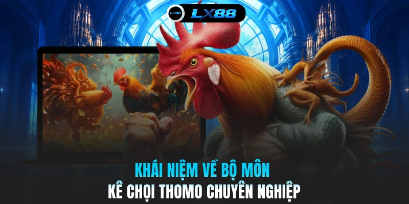 Khái niệm về bộ môn kê chọi Thomo chuyên nghiệp