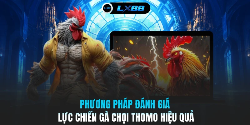 Phương pháp đánh giá lực chiến gà chọi Thomo hiệu quả