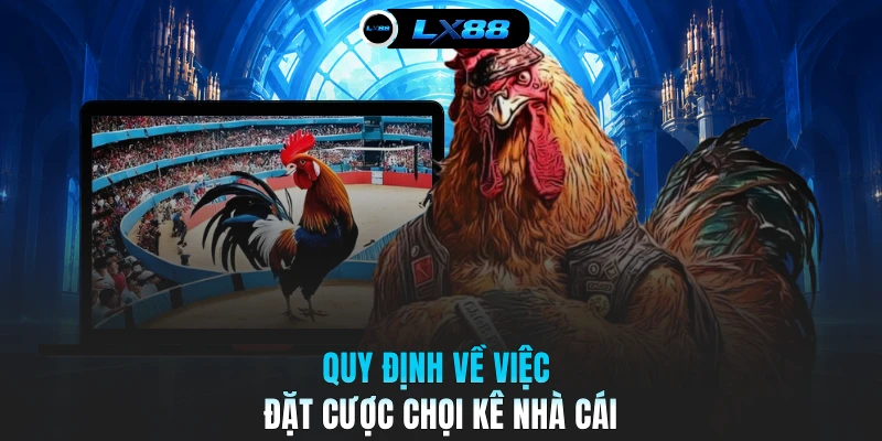 Quy định về việc đặt cược chọi kê nhà cái
