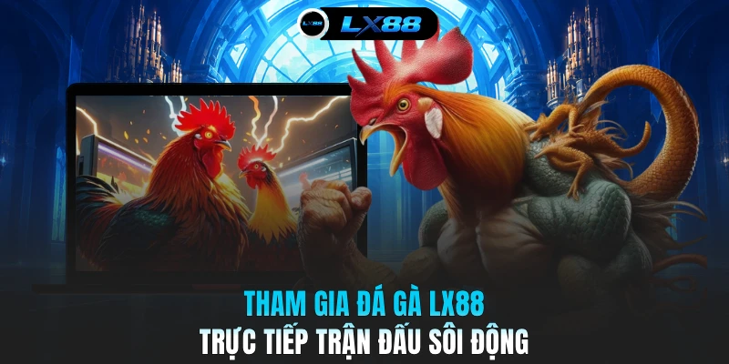 Tham gia đá gà LX88 trực tiếp trận đấu sôi động