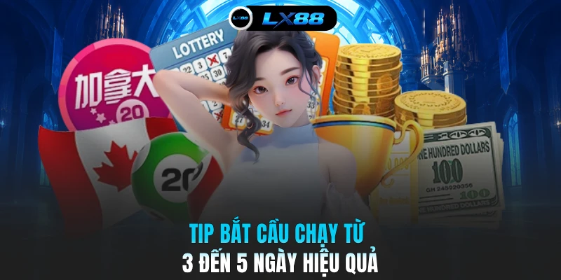 Tip bắt cầu chạy từ 3 đến 5 ngày hiệu quả