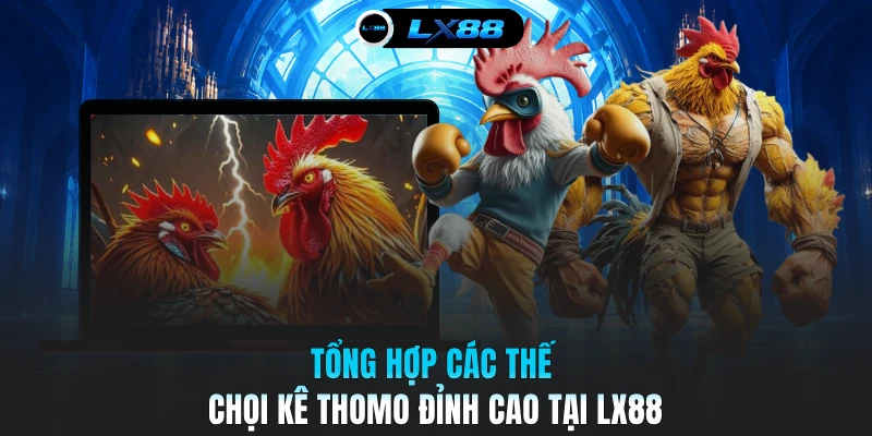 Tổng hợp các thế chọi kê Thomo đỉnh cao tại LX88