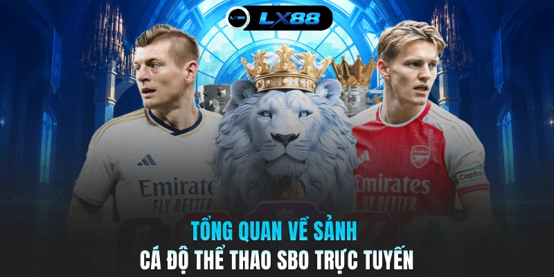 Tổng quan về sảnh cá độ thể thao SBO trực tuyến